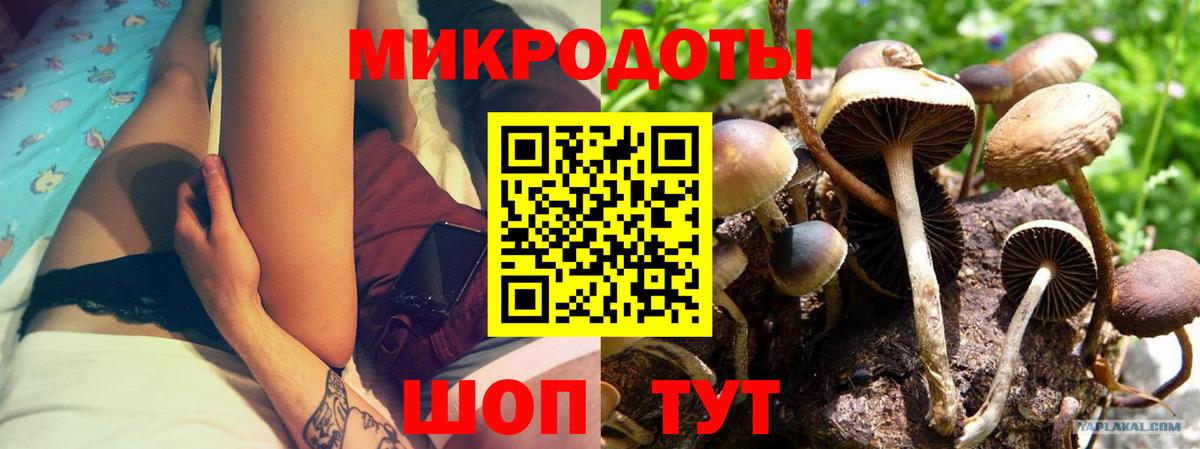 Галлюциногенные грибы мухоморы  Вход с VPN  Еманжелинск 